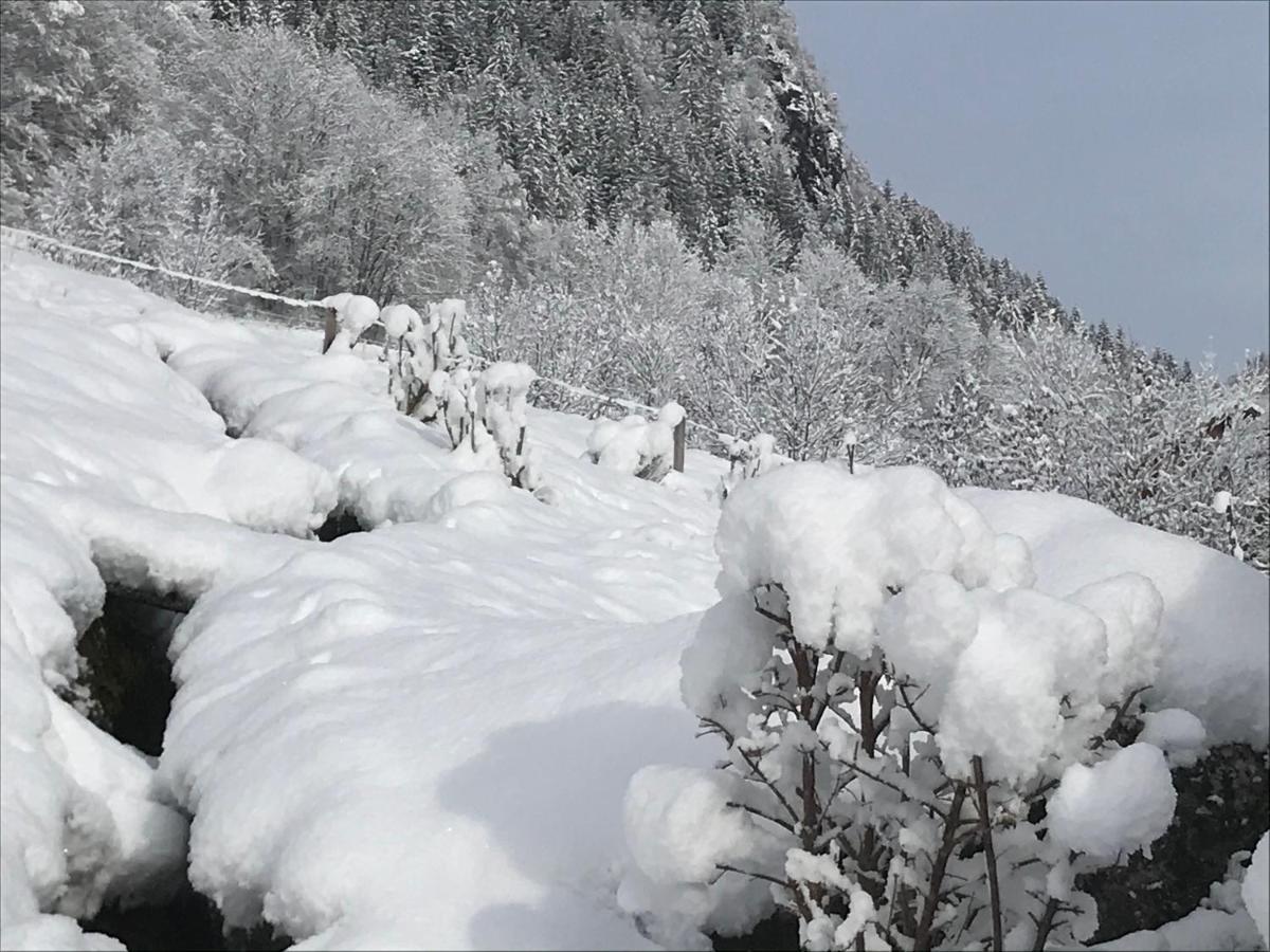 Le Bouchet-Mont Charvin Le Blanc Nordiqueヴィラ エクステリア 写真