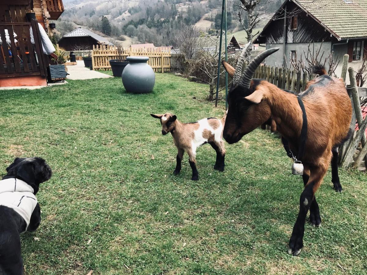 Le Bouchet-Mont Charvin Le Blanc Nordiqueヴィラ エクステリア 写真